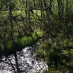 Apartmán Valkea Nunnanen