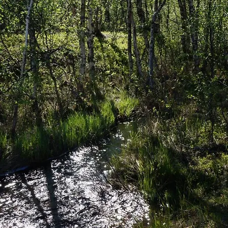 Apartament Valkea Nunnanen