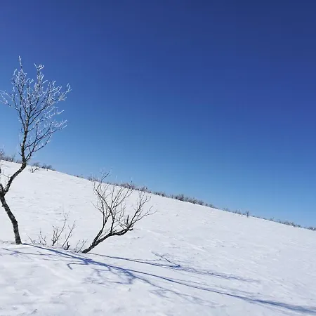 Majoitus Valkea Huoneisto