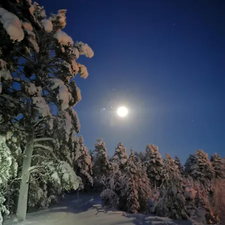 Majoitus Valkea Huoneisto Nunnanen