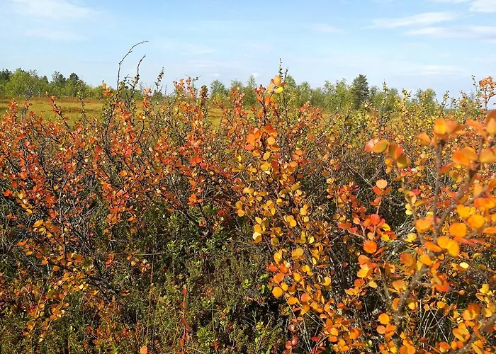 Appartamento Valkea *