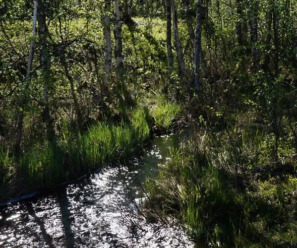 公寓 Valkea Nunnanen