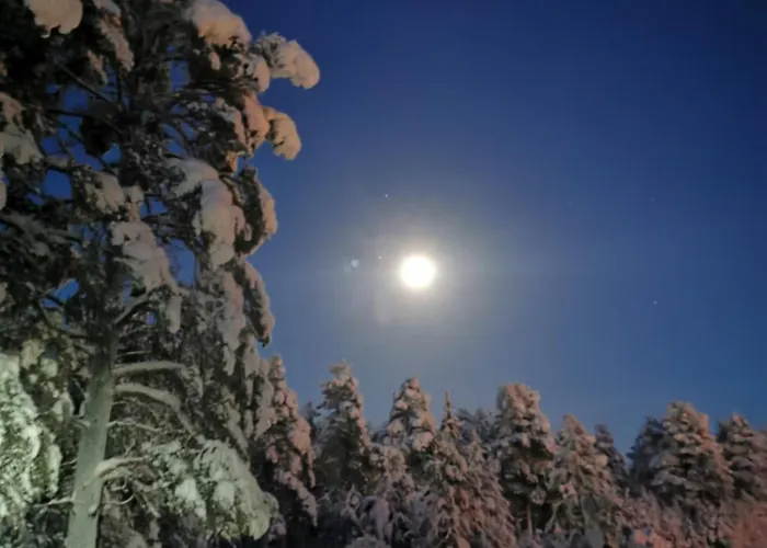 Valkea 公寓 Nunnanen